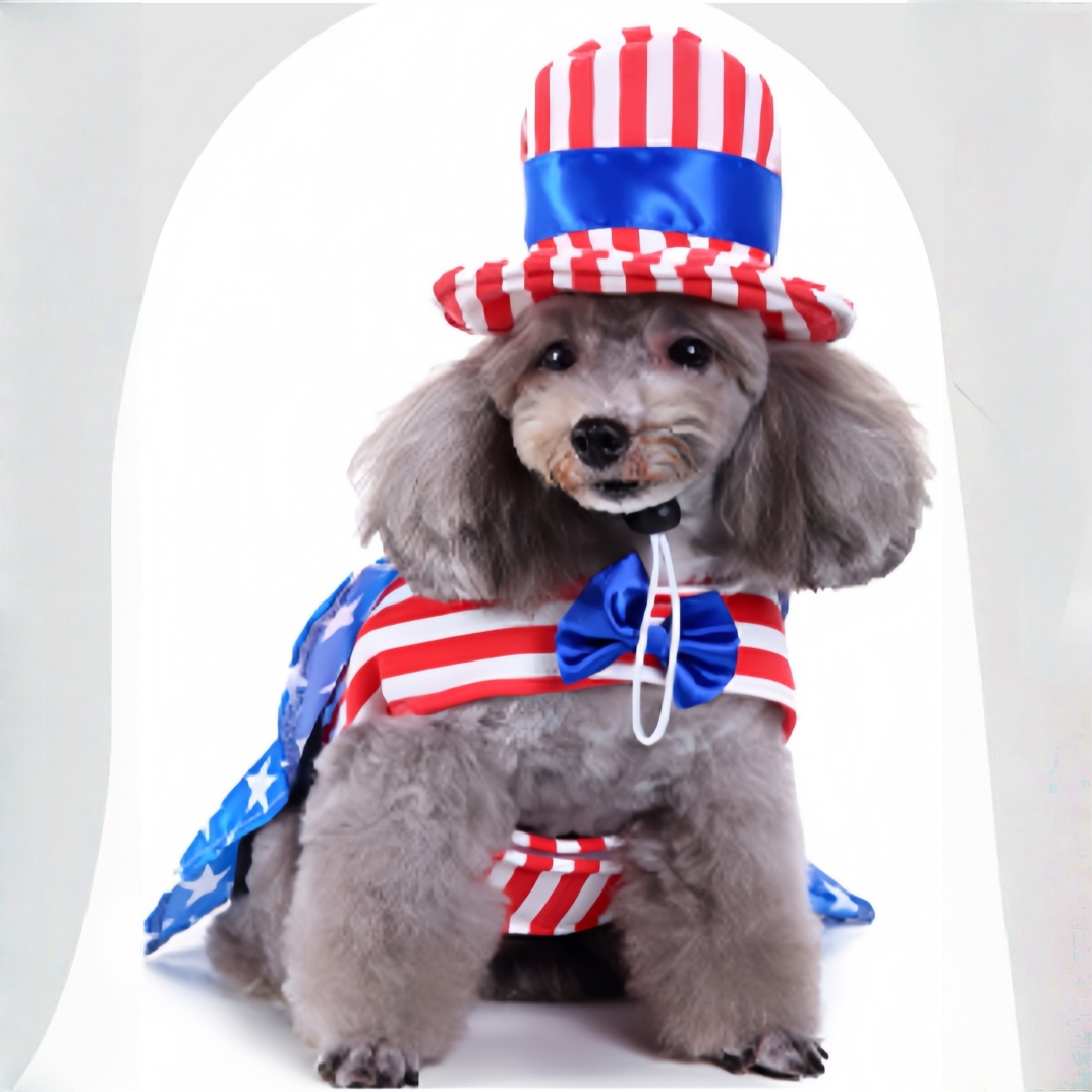 Patriotic Pet Costume With American Flag Design Include Top Hat